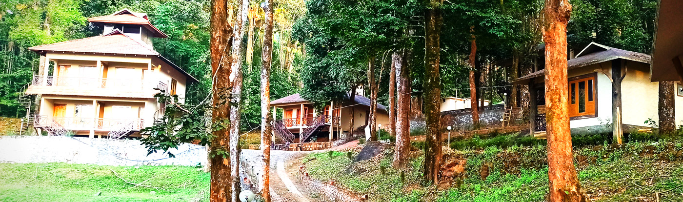 vythiri wild resort wayanad