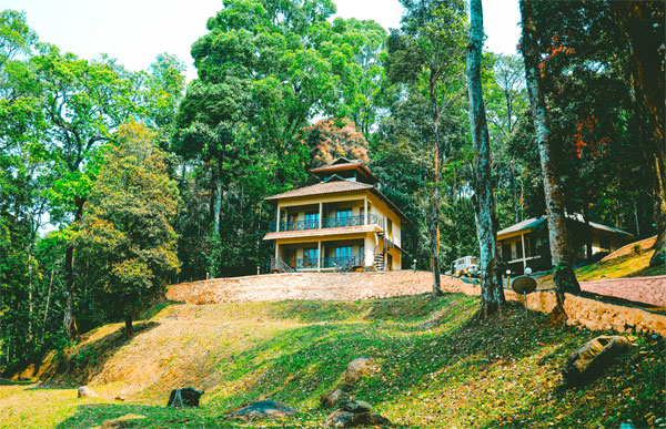 vythiri wild resort