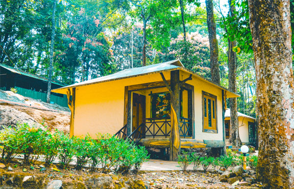vythiri wild resort