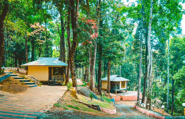 vythiri wild resort