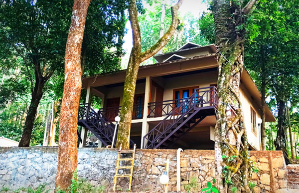 vythiri wild resort