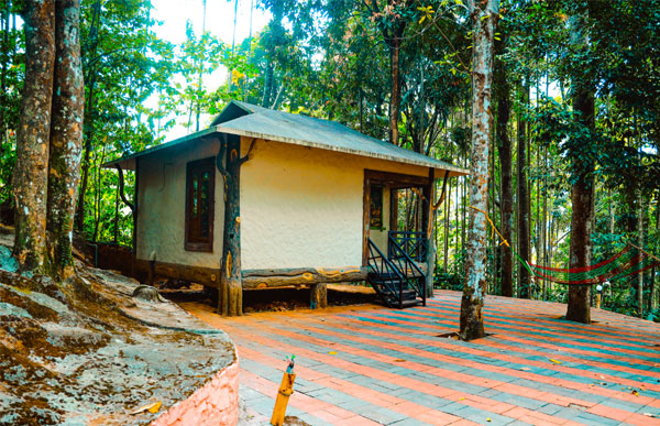 vythiri wild resort
