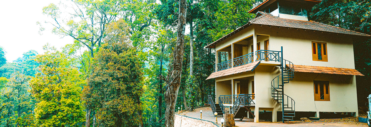 vythiri wild forest resort